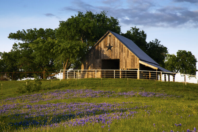 Barn in Texas