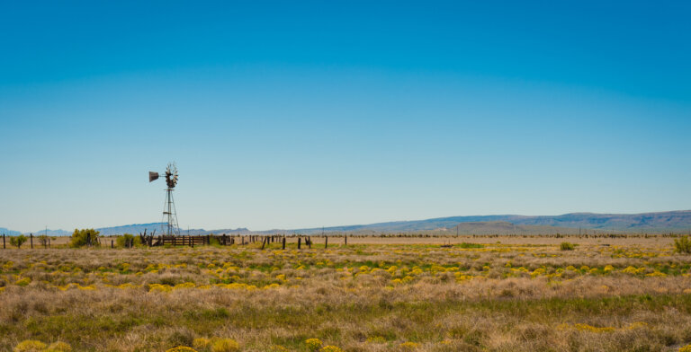 Texas Farm